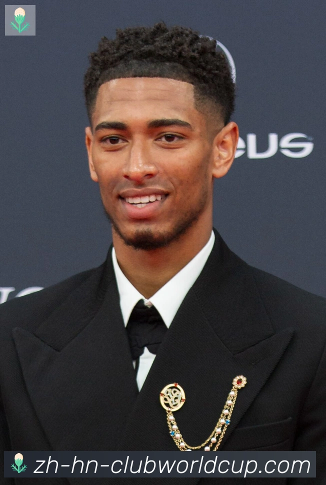 维尼修斯